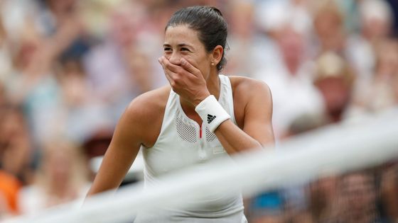 Jahody, mravenci a senzační Federer. Takový byl letošní Wimbledon