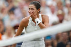 Jahody, mravenci a senzační Federer. Takový byl letošní Wimbledon