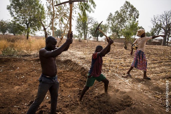 World Press Photo - nejlepší sportovní fotografie roku