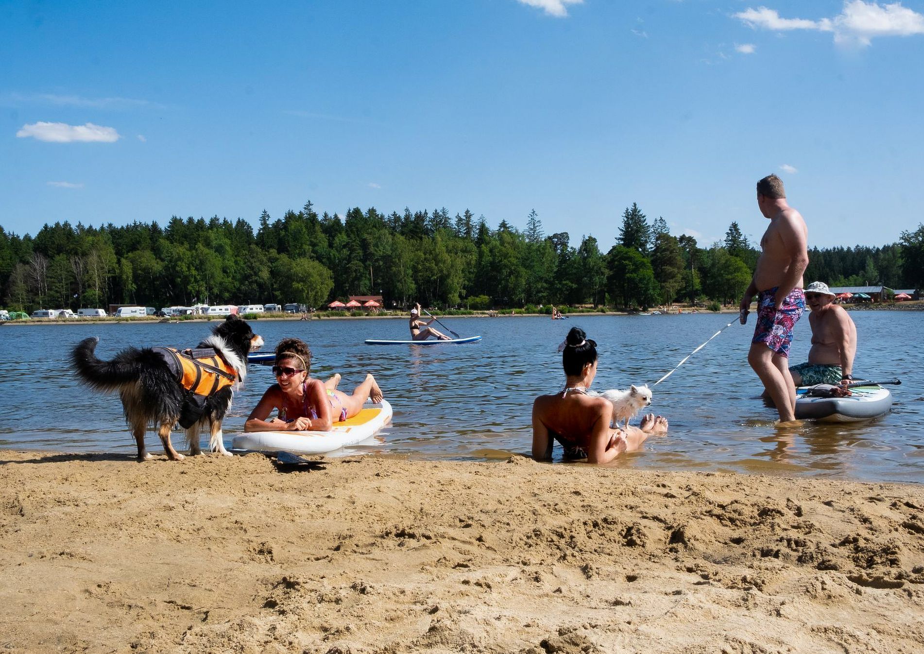 Moře Vysočiny - Velké Dářko