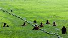 A group of Chinese beachgoers swim at an algae covered public beach in Qingdao, northeast China's Shandong province on July 4, 2013. The seas off China have been hit by their largest ever growth of algae, ocean officials said, with vast waves of green growth washing onto the shores of the Yellow Sea. CHINA OUT AFP PHOTO