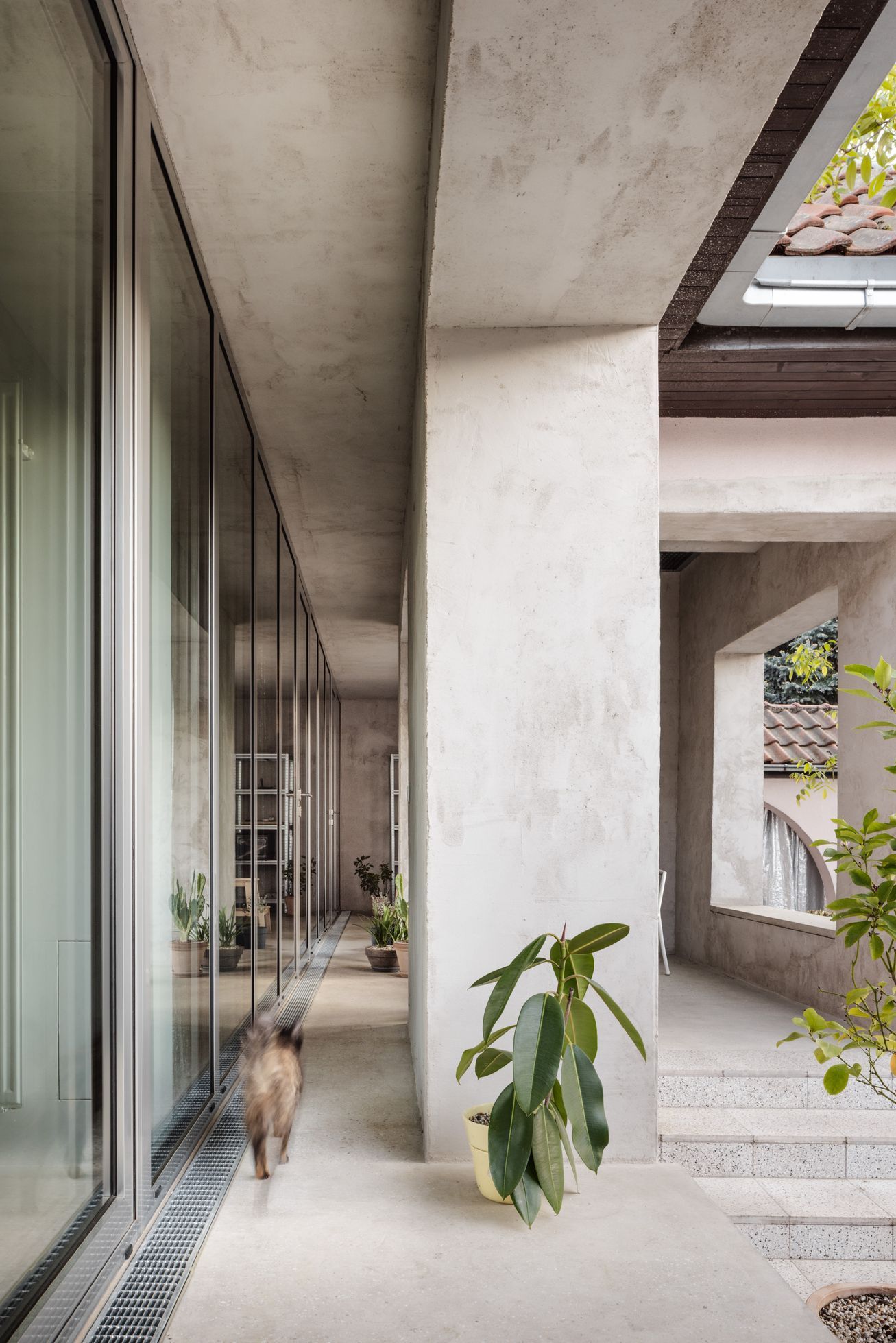 dům, rekonstrukce, slovensko, architektura