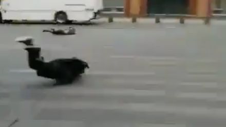 Silný orkán zasáhl Nizozemsko. Lidé létali vzduchem