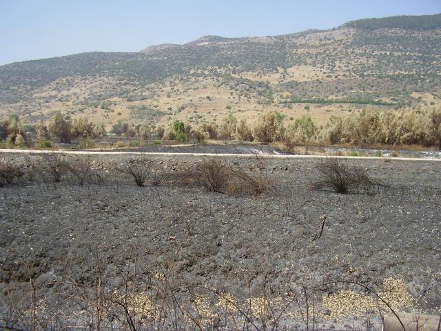 Izrael