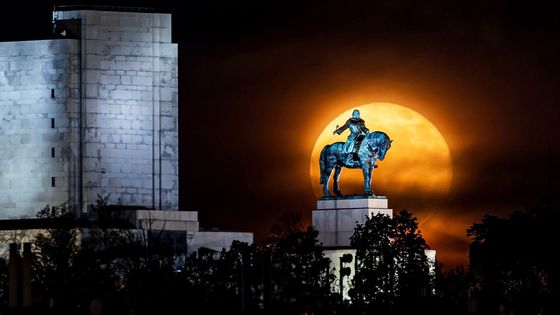 Fotky roku: Čtvero ročních období a magická krása Prahy Radoslava Vnenčáka