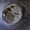 NASA: 33 úžasných pohledů z vesmíru