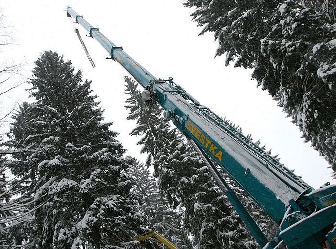 Jánské Lázně v Krkonoších - tady rostl uprostřed lesa až do 23. listopadu 2008 (přibližně 90 let) krásný smrk (vlevo) vybraný na vánoční trhy v hlavním městě České republiky.