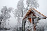 Severní Rakousko začátkem prosince 2014. Mrznoucí mlha a déšť pokryly celý region ledovou krustou.