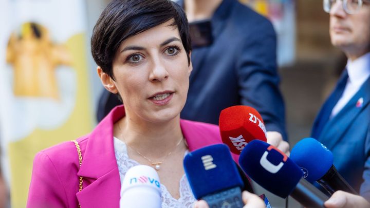 Vládní koalice riskuje. Manželství pro všechny dostala do sněmovny, podpora ale chybí