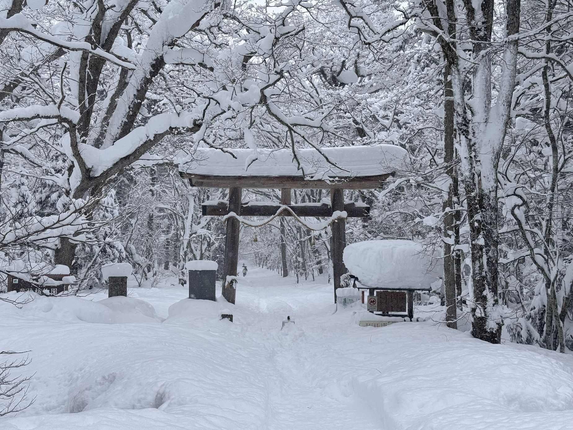 japonsko lyžování hakuba
