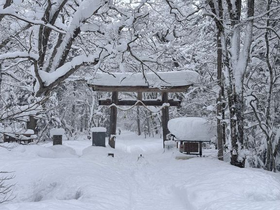 Zimní Japonsko cestovatelské dvojici naprosto učarovalo.