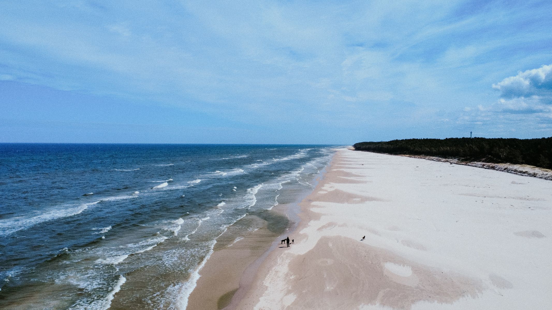 polsko balt hrad malbork pes moře