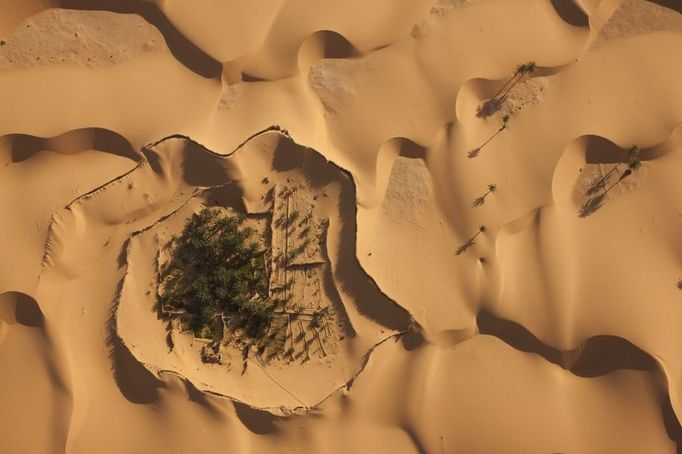 Algeria Sahara Aerial view of Ain Hamou and adjacent villages where gardens are in hollows between the dunes that are capped with rows of palm fronds to keep the sand from burying the plants. Water was traditionally brought up from hand dug wells with ropes and pulleys, but now electric pumps do the work.