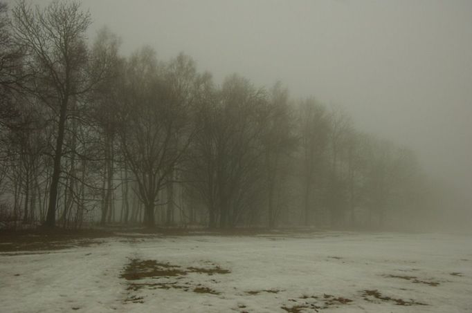 Alej od hřbitova na Dolní Paseky (Dolní Paseky, Karlovarský kraj).  Alej se táhne od hřbitova na obec Dolní Paseky, je tvořena převážně jasany, v menší míře je zastoupen javor horský, javor mléč, dub letní.V minulosti část aleje ustoupila výstavbě chodníku a byla tak přerušena její kontinuita z ulice Dlouhá. Avšak i nadále je alej neopominutelnou dominantou a její krásu lze ocenit v jakémkoliv ročním období.