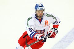 Nejprve gól, pak pecka do břicha. Liberecká spojka Řepík - Birner okouzlila