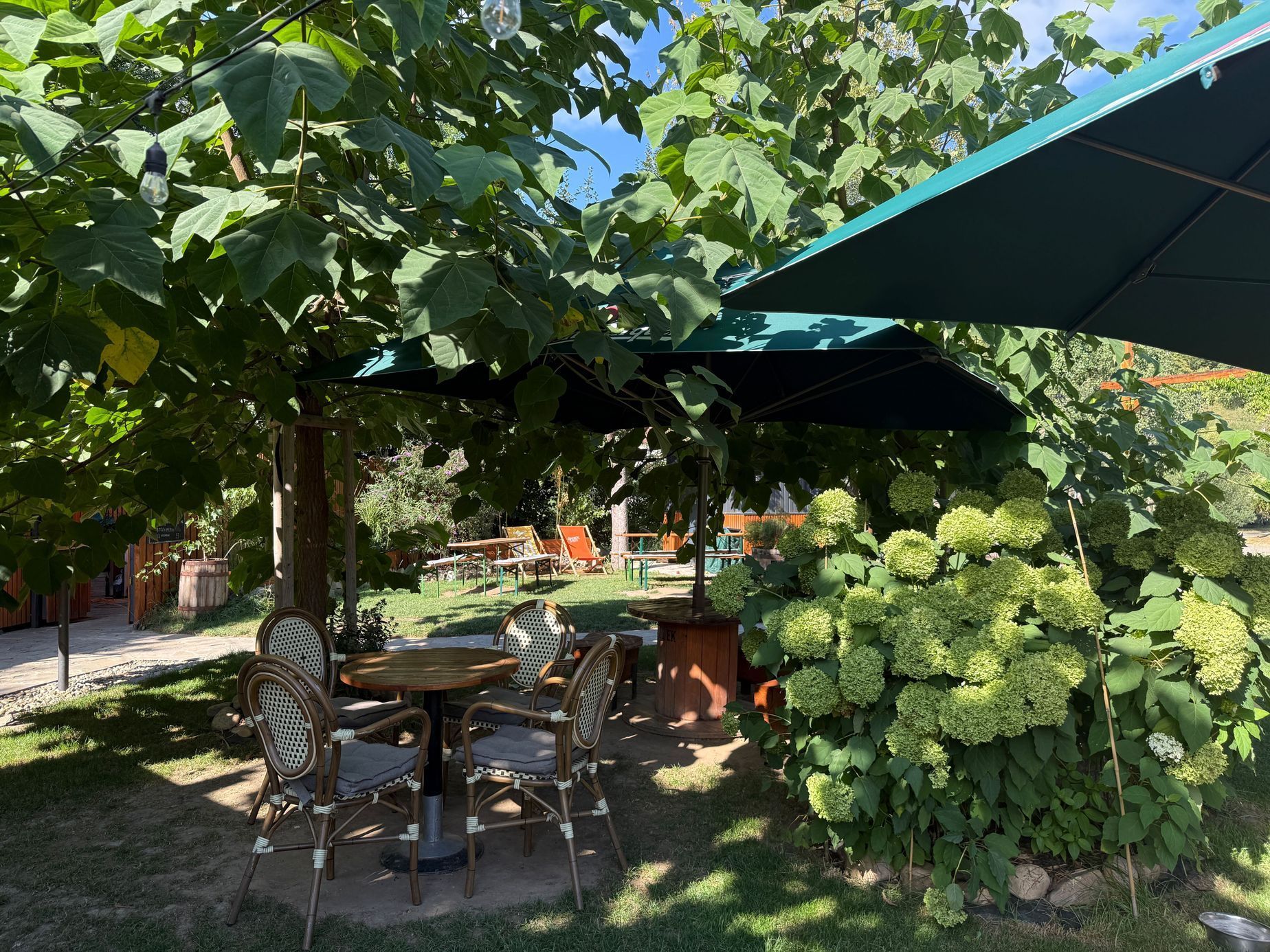 The Garden, bistro, jídlo, Srbsko, příroda, zahrada