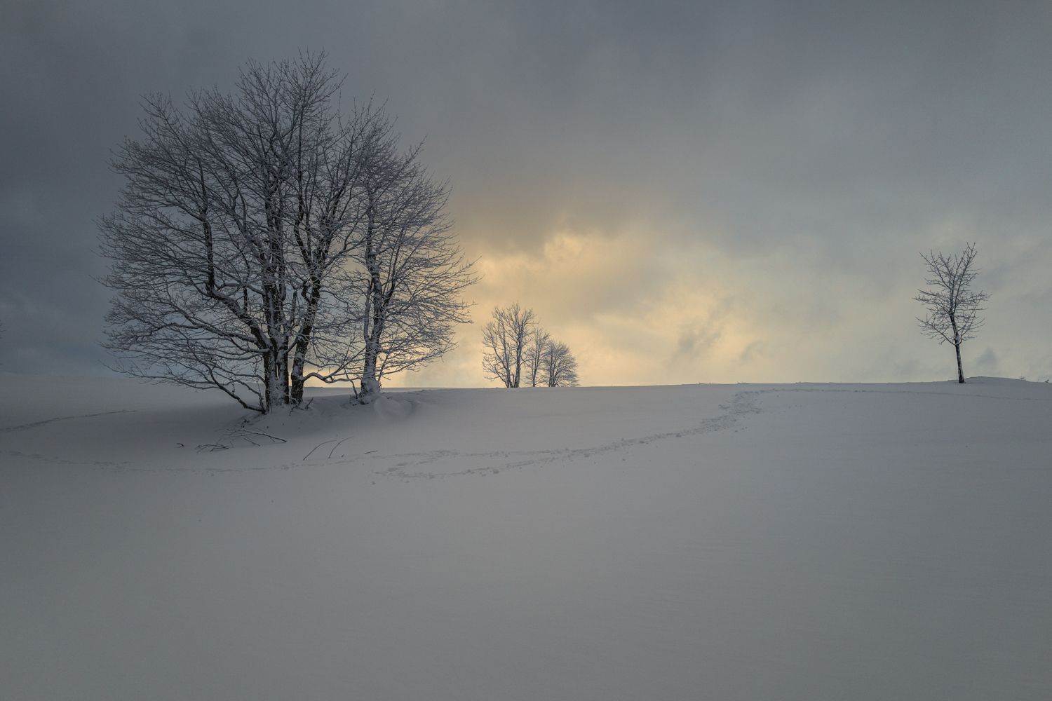 TOP FOTO 2021 - Richard Horák