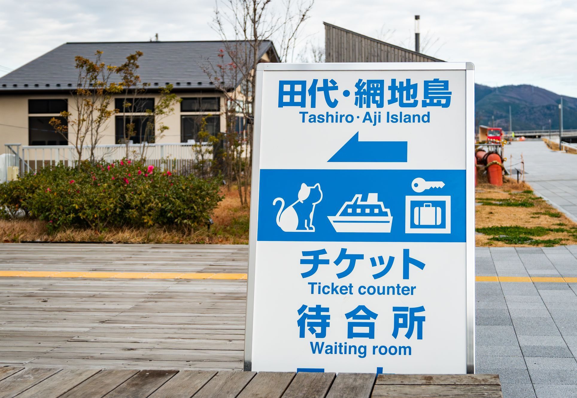 Japonsko, kočka, zvířata, ostrov, Taširodžima, reportáž