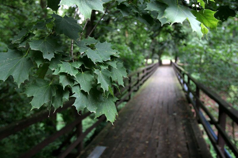 Bludiště a labyrinty v zámeckém parku v Loučni