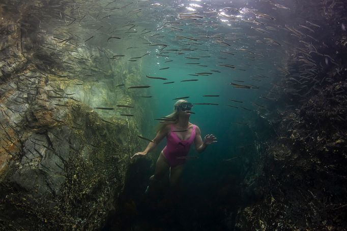 Vítězné fotografie ze soutěže Underwater Photographer of the Year 2023