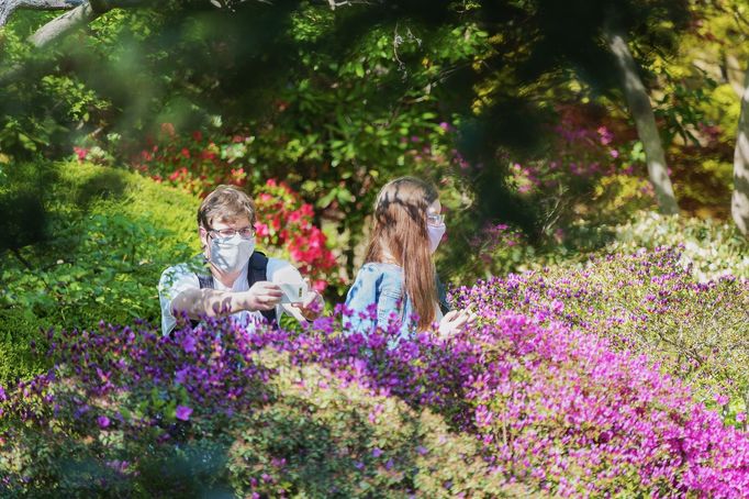 Pražské jaro v rouškách. První den v znovu otevřené zoo, lidé v botanické zahradě