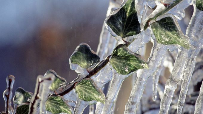 Meteorologové naměřili v sobotu ráno na některých místech teploty pod minus 20 stupňů Celsia.