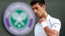 Novak Djokovič na Wimbledonu 2015