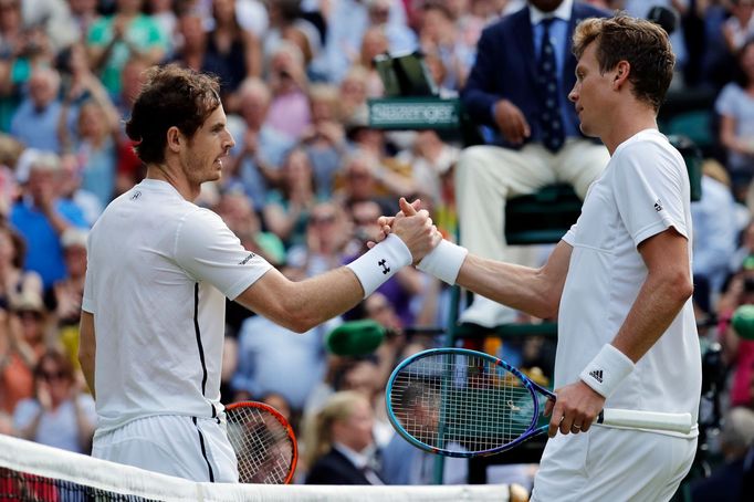 Andy Murray a Tomáš Berdych v semifinále Wimbledonu 2016