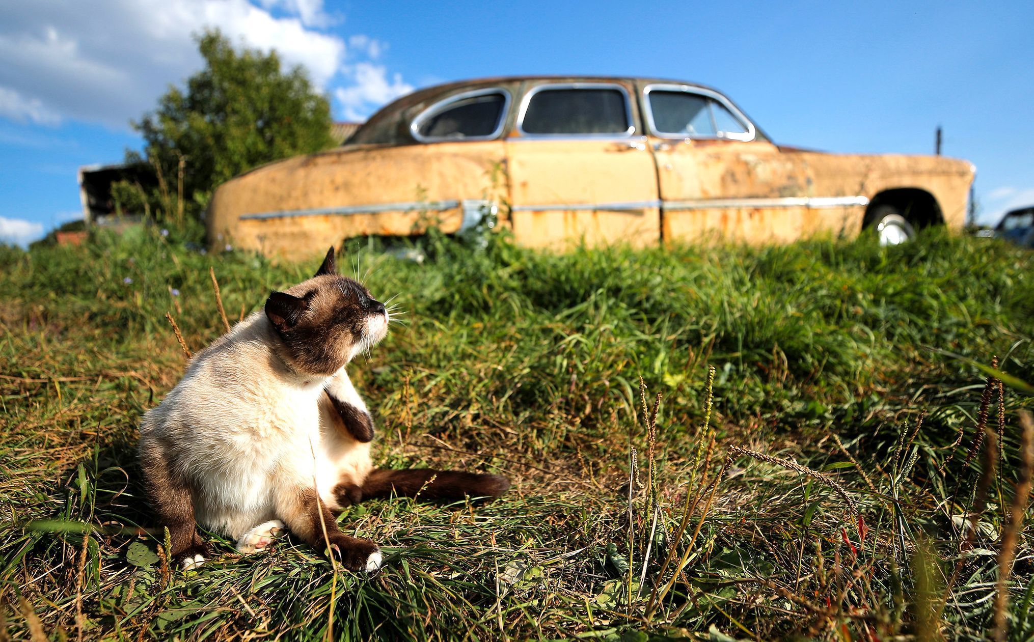 Fotogalerie / Sbírka starých aut v Rusku / Reuters