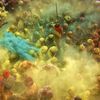 Fotogalerie: Sony World Photography Awards 2013 - Shortlist highlights - Open / Ne pro články!!!