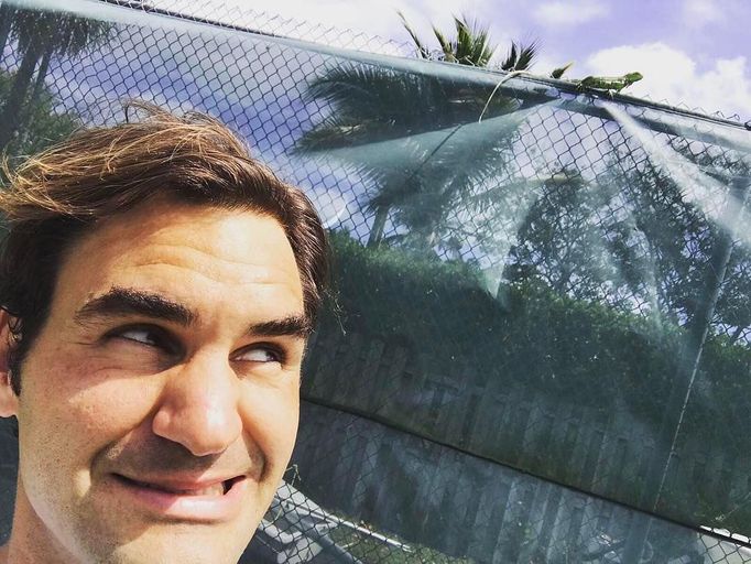 Miami Open Instagram (Roger Federer a leguán)