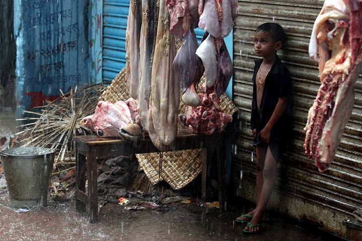 Bangladéš 2009 - prodavač masa