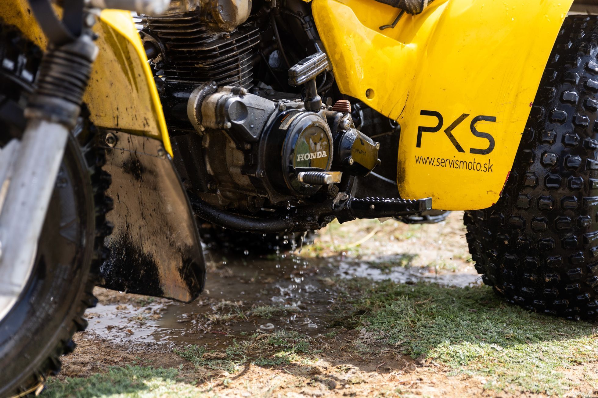 Žlutá žába pluje!