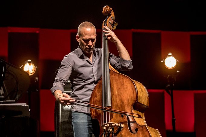 Izraelský basista Avishai Cohen na koncertu v pražském Foru Karlín v roce 2019.