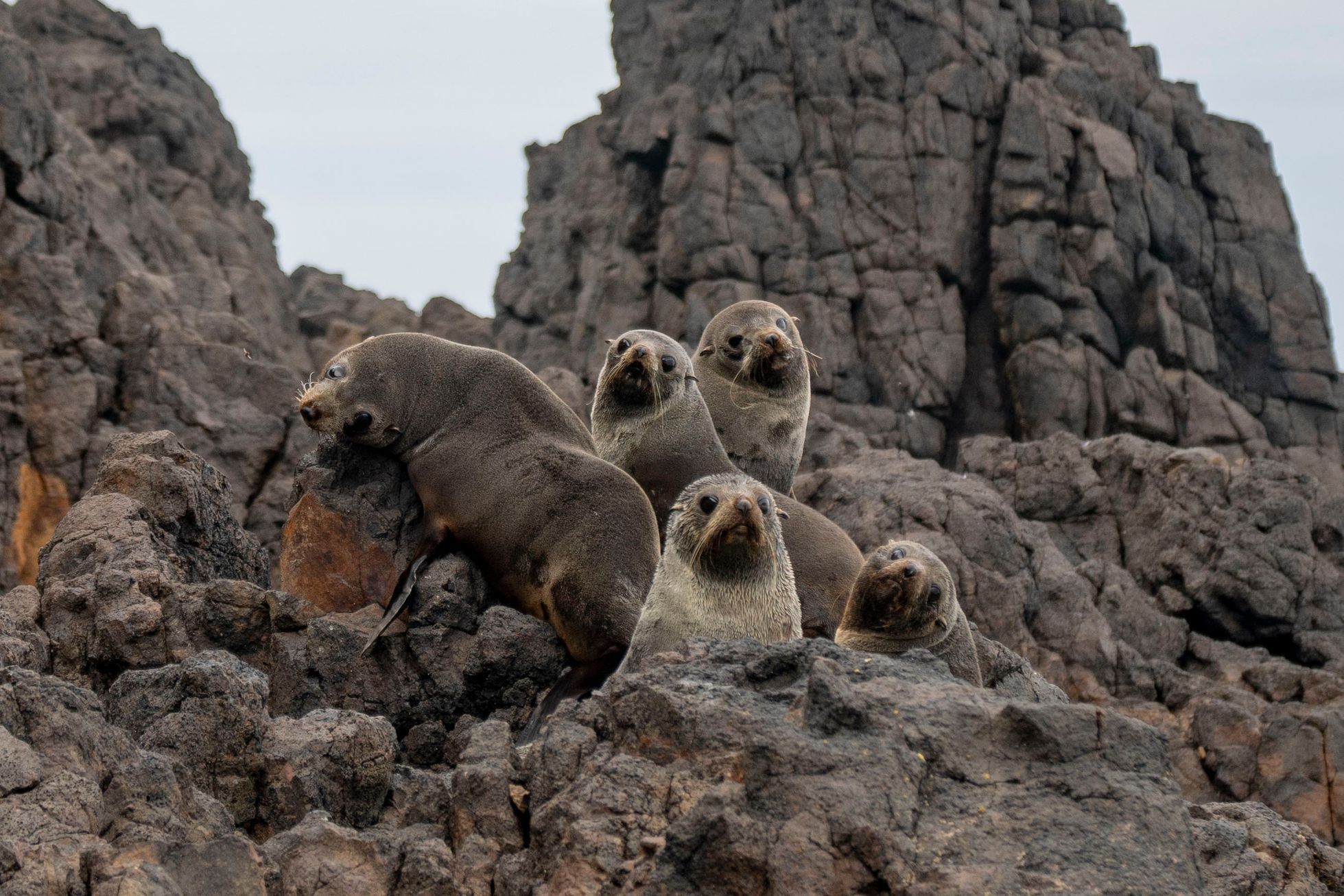 nový zéland cestování
