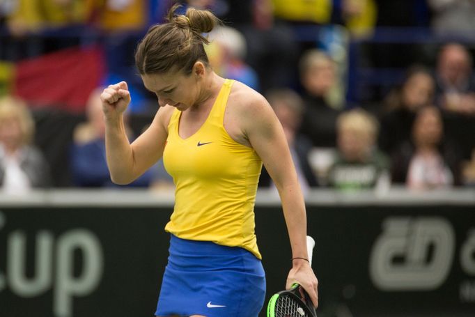 Plíšková vs. Halepová, Fed Cup, Česko vs. Rumunsko