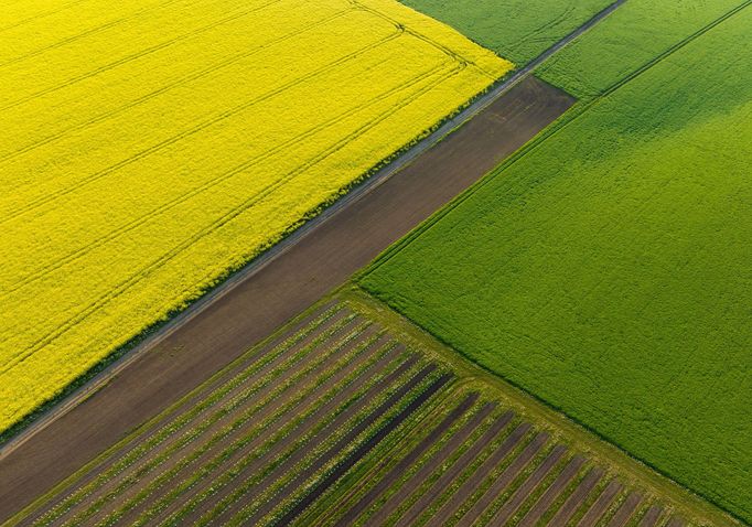 Moravské Slovácko, jižní Morava, fotografie z dronu, fotograf Radek Severa