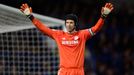 League Cup, Chelsea-Bolton: Petr Čech