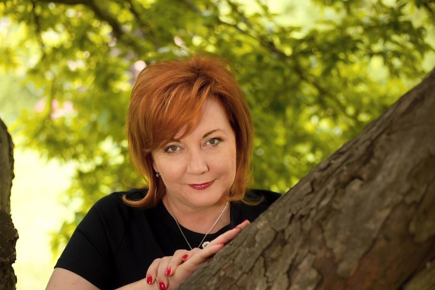 alena schillerová audit