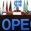 Jednorázové užití / Fotogalerie / 60 let od vzniku ropného kartelu OPEC / O