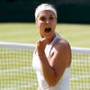 Tenis, Wimbledon, 2013: Sabine Lisická