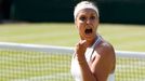 Tenis, Wimbledon, 2013: Sabine Lisická