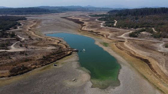 Foto: Jezero, které během pouhých 13 let téměř vyschlo. Zbyly jen kostry ryb