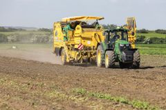 Teplomilné plodiny "migrují" na sever. Změna klimatu ohrožuje potravinovou bezpečnost
