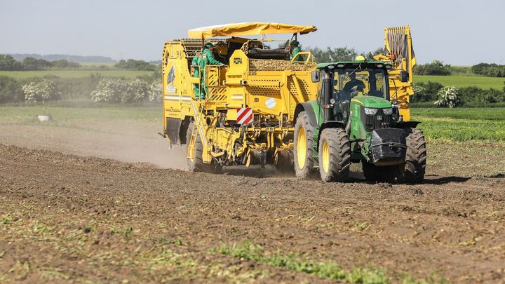 Teplomilné plodiny "migrují" na sever. Změna klimatu ohrožuje potravinovou bezpečnost; Zdroj foto: Jakub Plíhal