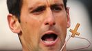 Novak Djokovič na tenisovém French Open 2013.