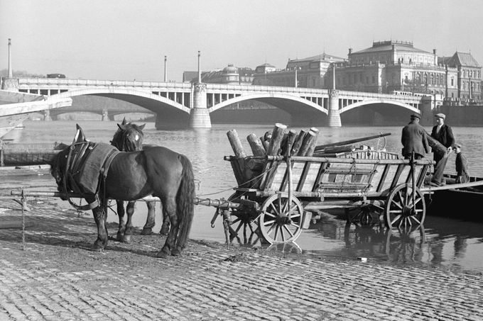 Vykládka zboží z lodě na Vltavě u Mánesova mostu na koňský povoz. Rok 1938