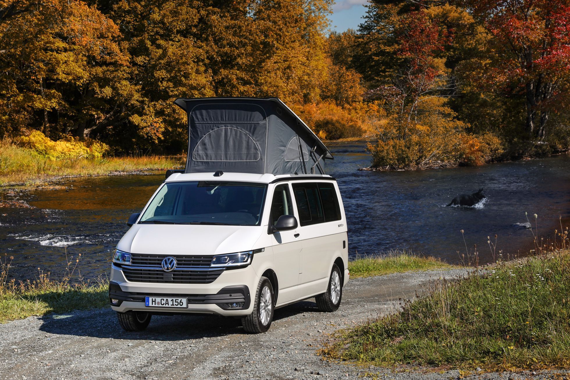 Volkswagen California 6.1