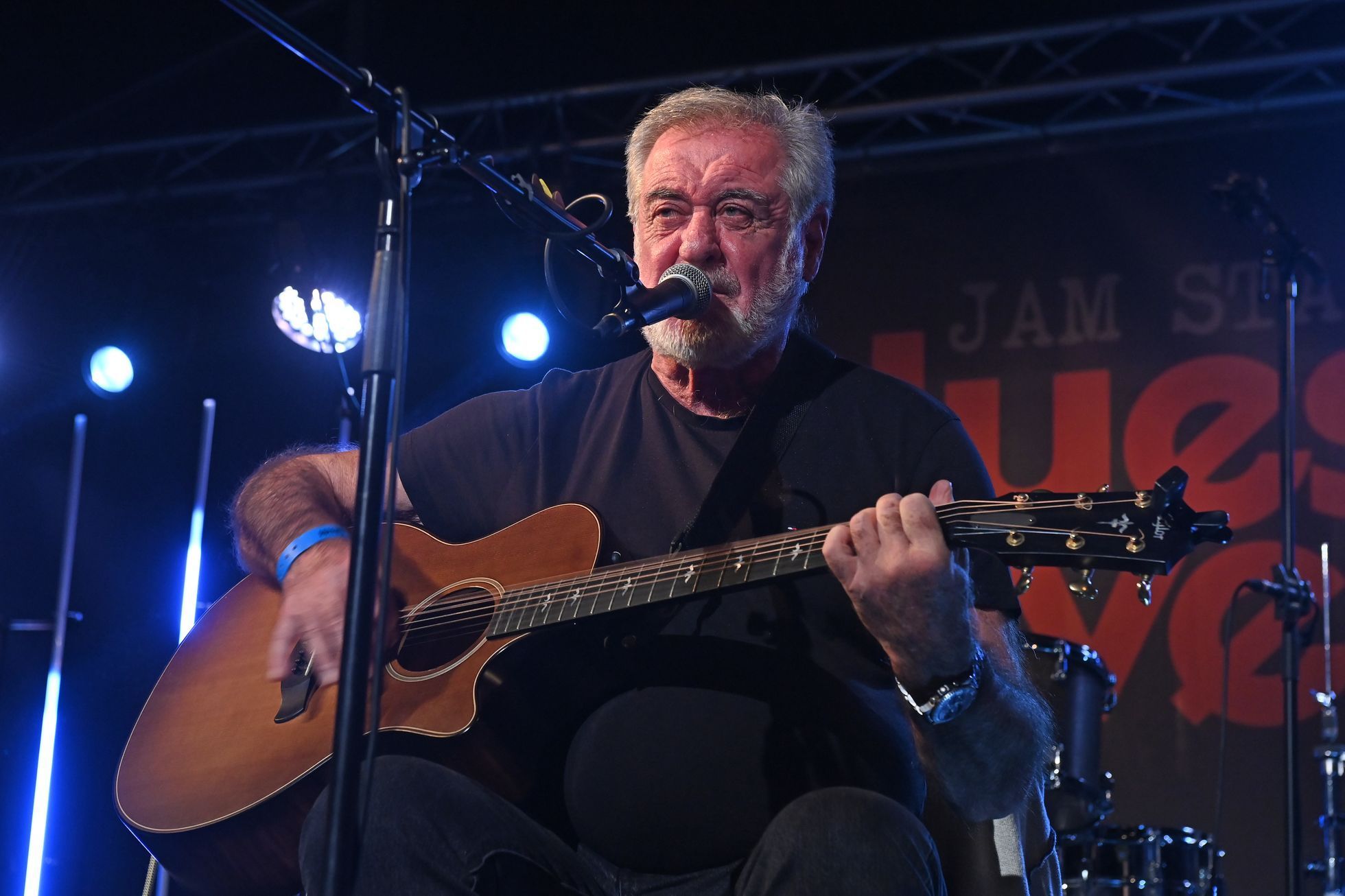 Blues Alive, 2023, festival, Michal Prokop