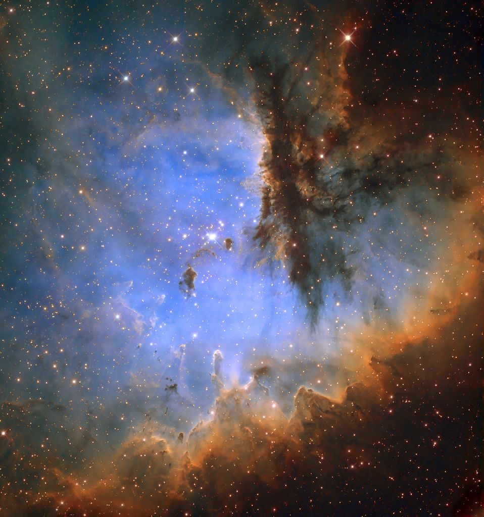 Obrazem: Fascinující podoby symbolu srdce v přírodě